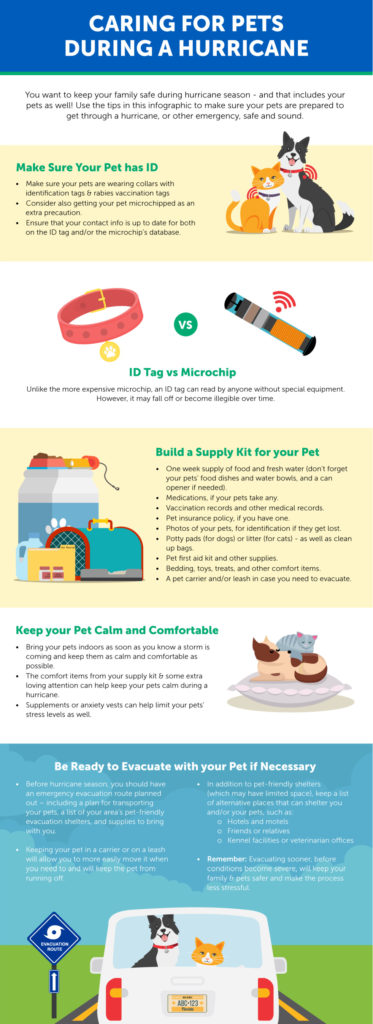 How To Care For Pets During A Hurricane (infographic)