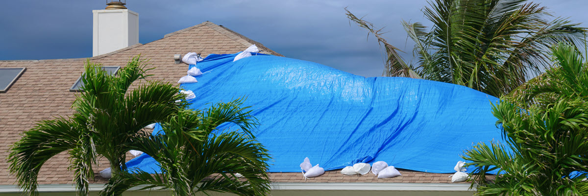 Blue tarp covering roof damage