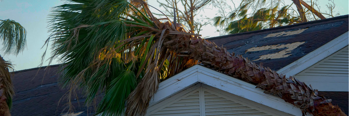 Tips for Filing Insurance Claims After Hurricane Tree Falls on Roof